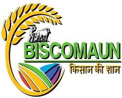 BISCOMAUN Recruitment-logo-250x200